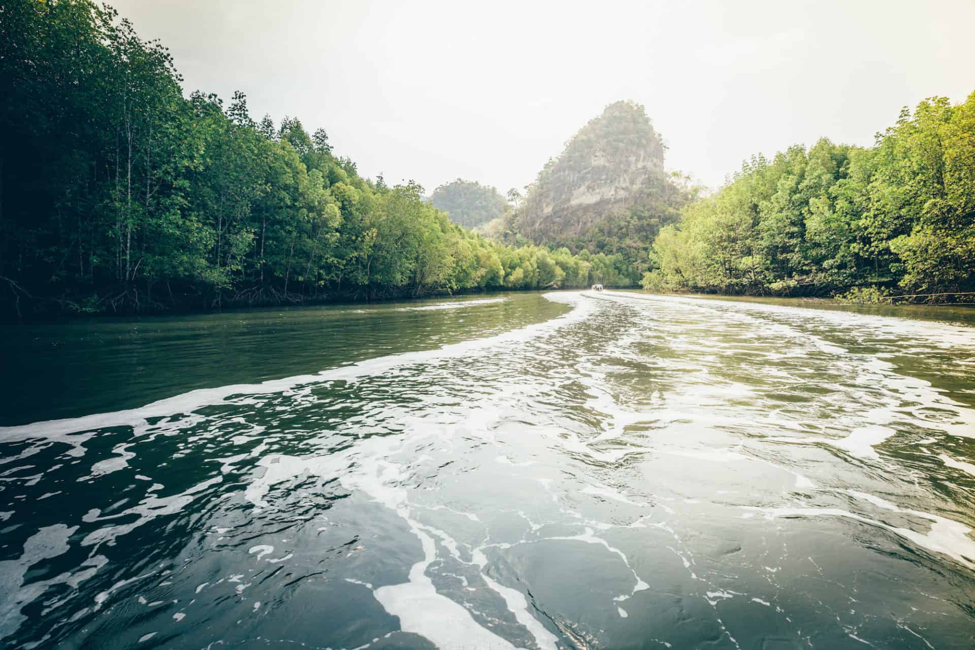 Taman Nilam river and mangrove setting